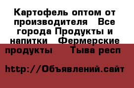 Картофель оптом от производителя - Все города Продукты и напитки » Фермерские продукты   . Тыва респ.